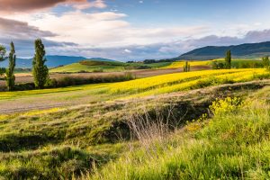 alexander-schimmeck-bsZgFVWFPh0-unsplash