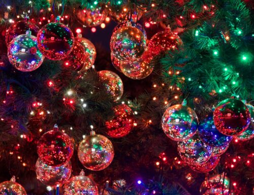 December 2022 Newsletter