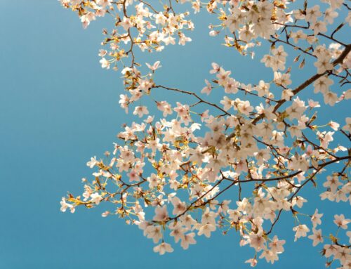 April 2023 Newsletter