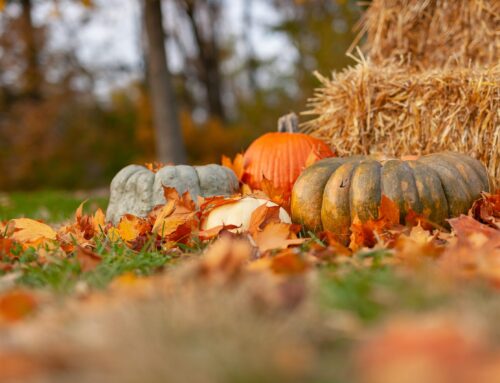 October 2023 Newsletter