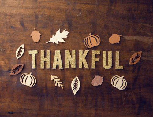 November 2023 Newsletter
