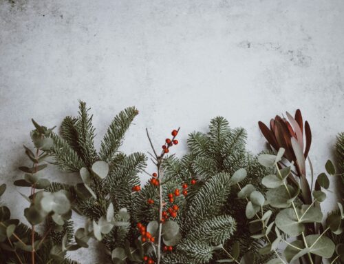 December 2025 Newsletter