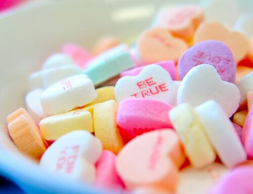 February 2026 Newsletter