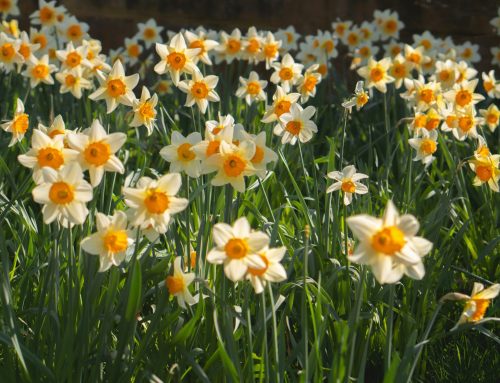 April 2026 Newsletter